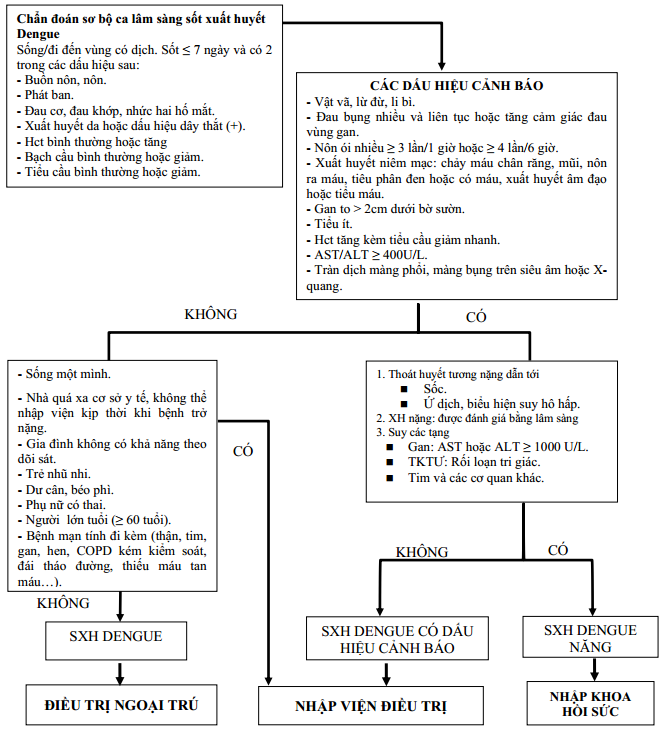 Phác Đồ Điều Trị Bệnh Sốt Xuất Huyết