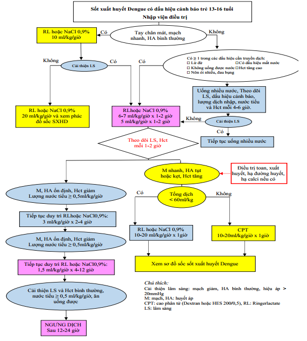 Phác đồ điều trị sốt xuất huyết dengue 2019: Hướng dẫn chi tiết và hiệu quả