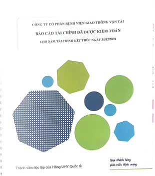 Báo cáo tài chính năm 2024 đã được kiểm toán