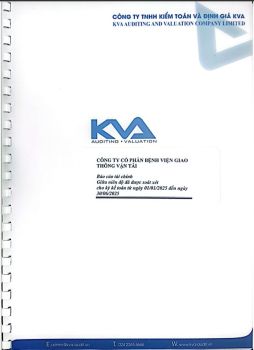 Báo cáo tài chính giữa niên độ 2025 đã được soát xét