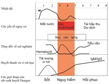 CẬP NHẬT PHÁC ĐỒ ĐIỀU TRỊ SỐT XUẤT HUYẾT DENGUE NĂM 2023