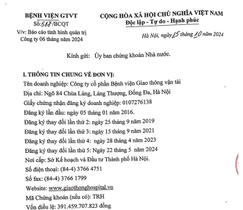 Báo cáo tình hình quản trị Công ty 06 tháng năm 2024