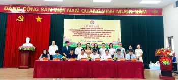BỆNH VIỆN GIAO THÔNG VẬN TẢI KÝ KẾT CHƯƠNG TRÌNH PHỐI HỢP CÔNG TÁC VỚI UBND PHƯỜNG LÁNG