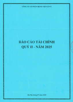 Báo cáo tài chính Quý 2 năm 2025